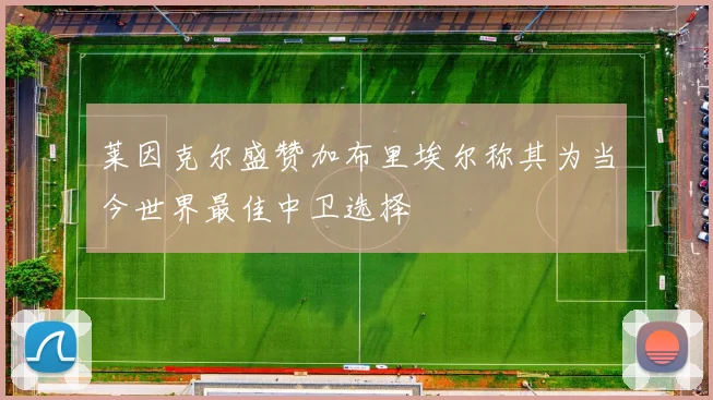 莱因克尔盛赞加布里埃尔称其为当今世界最佳中卫选择