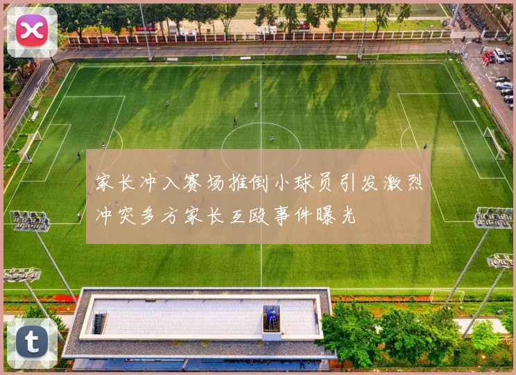 家长冲入赛场推倒小球员引发激烈冲突多方家长互殴事件曝光