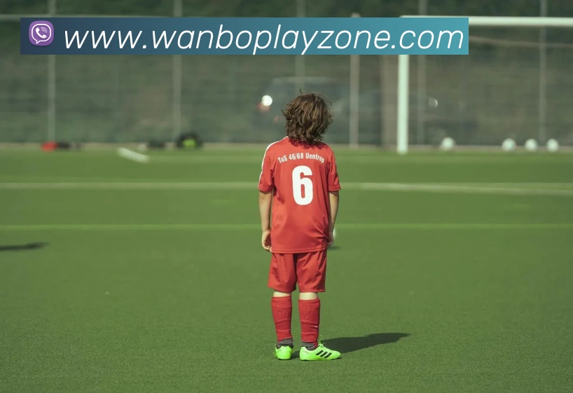 多媒体互动体验